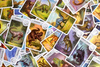 Cardline: Dinozaury