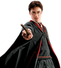 Harry Potter: Hogwarts Battle - Obrona przed czarną magią