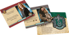 Harry Potter: Hogwarts Battle - Obrona przed czarną magią