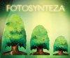 Fotosynteza