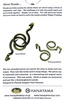 Łamigłówka Cast Hook 2/6