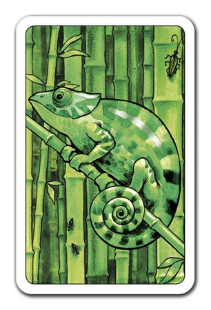 Kameleon